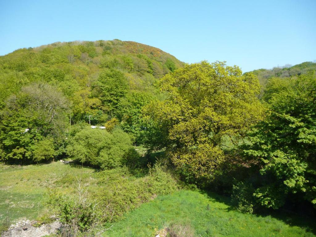 Score Valley Country House Ilfracombe Szoba fotó